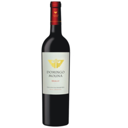 Domingo Molina Merlot