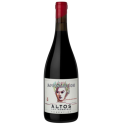 Altos Las Hormigas Appellation Guatallary