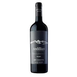 Andillian Malbec Chacayes Orgnico