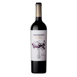 Trivento Gaudeo Tupungato